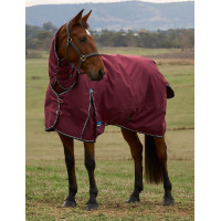 Couverture Weatherbeeta ComFiTec Prelim Turnout Combo 220g Bourgogne / marine Couverture Weatherbeeta ComFiTec Prelim Turnout Combo 220g Bourgogne / marine