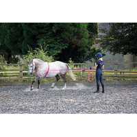 Chambrière Shires 160 cm - Matériel d'équitation Chambrière Shires 160 cm - Matériel d'équitation