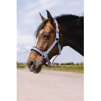 Licol nylon Equithème Jacquard Bleu ciel Licol nylon Equithème Jacquard Bleu ciel