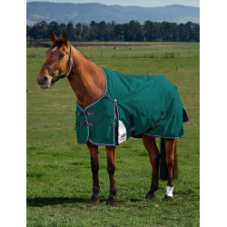 Couverture Weatherbeeta ComFiTec Plus Dynamic Turnout 220g Vert forêt / marine