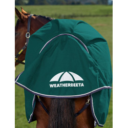 Couverture Weatherbeeta ComFiTec Plus Dynamic Turnout 100g Vert forêt / marine Couverture Weatherbeeta ComFiTec Plus Dynamic Turnout 100g Vert forêt / marine