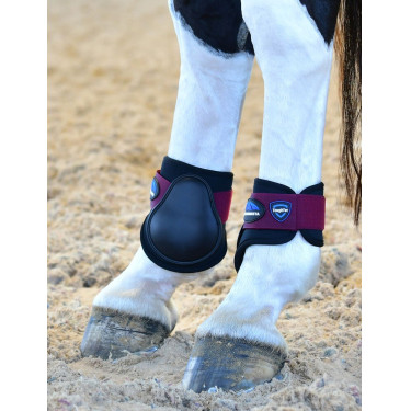 Protège-boulets Weatherbeeta Tough-Tec Prime Fetlock Noir / bourgogne Bleu