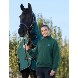 Pull polaire Dublin 1/4 zippé femme Vert émeraude foncé Pull polaire Dublin 1/4 zippé femme Vert émeraude foncé