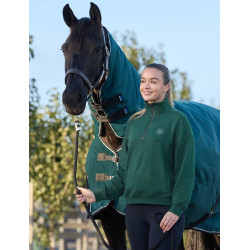 Pull polaire Dublin 1/4 zippé femme Vert émeraude foncé Pull polaire Dublin 1/4 zippé femme Vert émeraude foncé