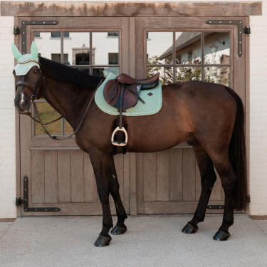 Tapis de selle Velvet jumping Kentucky Menthe Vert Tapis de selle Velvet jumping Kentucky Menthe Vert