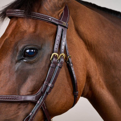 Bridon Muserolle Croisée Tressée D Collection Dy'on Marron