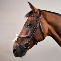 Bridon Muserolle Croisée Tressée D Collection Dy'on Marron