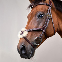 Bridon Muserolle Croisée Tressée D Collection Dy'on Marron