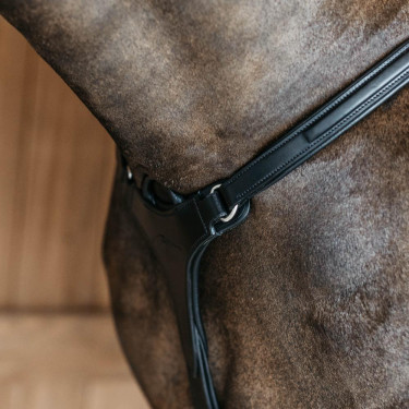 Collier de chasse 5 points avec élastiques New English Collection Dy'on Noir Collier de chasse 5 points avec élastiques New English Collection Dy'on Noir