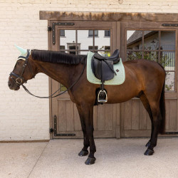 Tapis de selle Velvet dressage Kentucky Menthe Vert Tapis de selle Velvet dressage Kentucky Menthe Vert