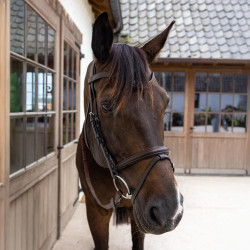 Bridon Muserolle Combinée Dy'on en Cuir Souple Marron