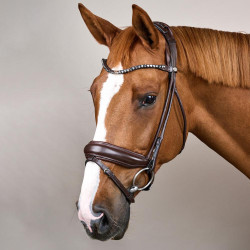 Bridon Muserolle Large Cuir Souple Dy'on Marron