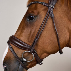 Bridon Muserolle Large Cuir Souple Dy'on Marron