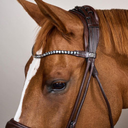 Bridon Muserolle Large Cuir Souple Dy'on Marron