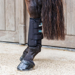 Guêtres de Cross Kentucky 3D Air Flow Skin-Friendly Postérieurs Noir Guêtres de Cross Kentucky 3D Air Flow Skin-Friendly Postérieurs Noir