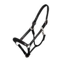 Licol Fancy Dy'on Noir
