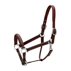 Licol Fancy Dy'on Marron