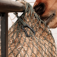 Mousqueton Aluminium Safety Grooming Deluxe by Kentucky Noir