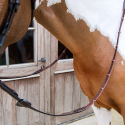 Rênes Caoutchouc Dy'on 1/2 avec 7 arrêtoirs intégrés Marron