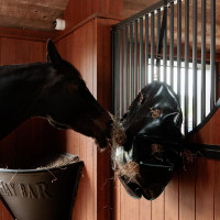 Sac à Foin Play & Slowfeeder Rond Grooming Deluxe by Kentucky Sac à Foin Play & Slowfeeder Rond Grooming Deluxe by Kentucky