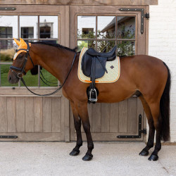 Tapis de selle Kentucky Velvet Dressage Printing Coloré Tapis de selle Kentucky Velvet Dressage Printing Coloré