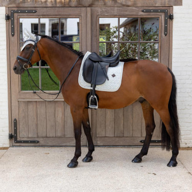Tapis de selle Kentucky Velvet Dressage Printing Gris / blanc Tapis de selle Kentucky Velvet Dressage Printing Gris / blanc