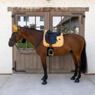 Tapis de selle Kentucky Velvet Dressage Printing Orange