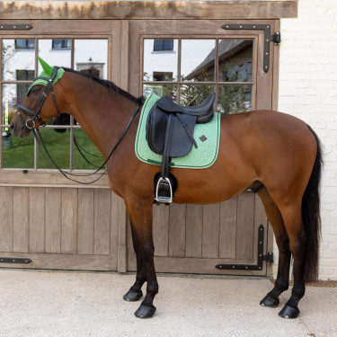 Tapis de selle Kentucky Velvet Dressage Printing Vert Tapis de selle Kentucky Velvet Dressage Printing Vert