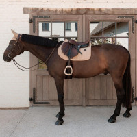 Tapis de selle Kentucky Velvet Mini Peals Jumping Beige