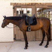 Tapis de selle Kentucky velvet mini Pearls Dressage Noir