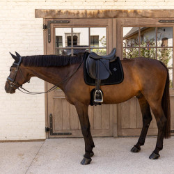 Tapis de selle Kentucky velvet mini Pearls Dressage Noir Tapis de selle Kentucky velvet mini Pearls Dressage Noir