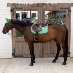 Tapis de Selle Velours Kentucky Imprimés Vert