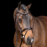 Bridon HV Polo Legacy Marron chocolat Bridon HV Polo Legacy Marron chocolat