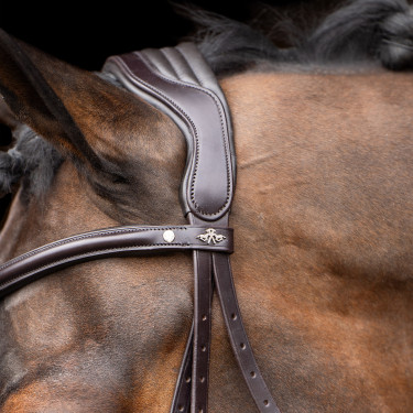 Bridon HV Polo Legacy Marron chocolat Bridon HV Polo Legacy Marron chocolat