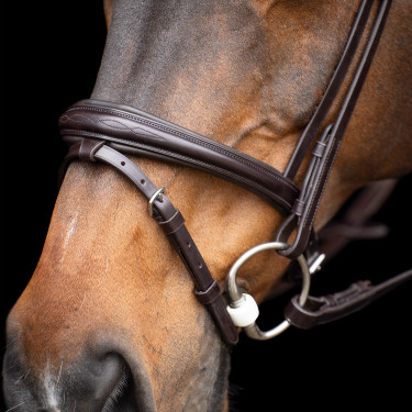 Bridon HV Polo Legacy Marron chocolat Bridon HV Polo Legacy Marron chocolat
