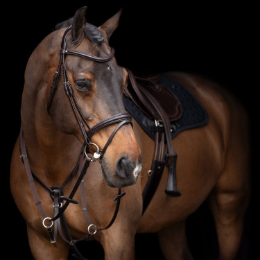 Martingale HV Polo Legacy Marron chocolat
