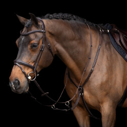Martingale HV Polo Legacy Marron chocolat