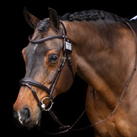 Numéro de tétière HV Polo Legacy Marron chocolat