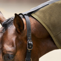 Couverture polaire avec cou Imperial Riding Fundamental Vert olive