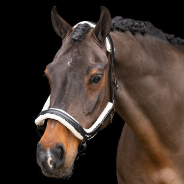 Licol Imperial Riding Luxury Noir Licol Imperial Riding Luxury Noir