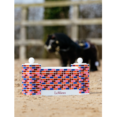 Obstacle puissance Toy Pony LeMieux Multi Multi-couleurs