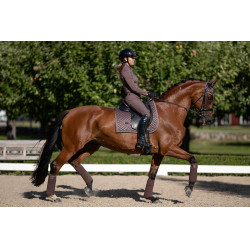 Bandes de polo Equestrian Stockholm Amaranthe