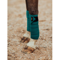 Bandes de polo Equestrian Stockholm Émeraude Vert
