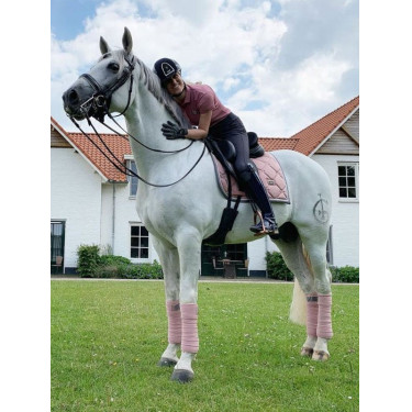 Bandes de polo Equestrian Stockholm Rose