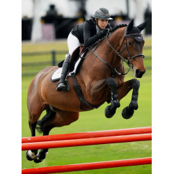 Bonnet anti-mouches Equestrian Stockholm anti-bruit Océan sombre Bleu marine