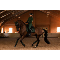 Bonnet anti-mouches Equestrian Stockholm Performance Noir