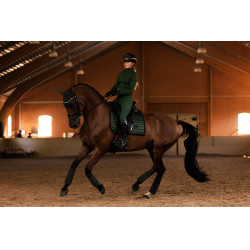 Bonnet anti-mouches Equestrian Stockholm Performance Vert sycomore