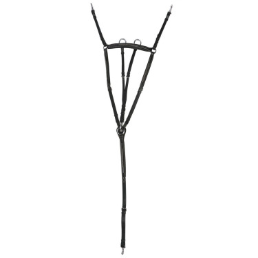 Collier de chasse Norton Pro