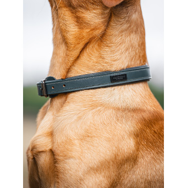 Collier pour chien Equestrian Stockholm clean Collier pour chien Equestrian Stockholm clean
