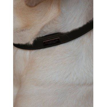Collier pour chien Equestrian Stockholm clean Moonless night